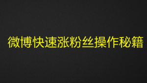 微博快速涨粉丝操作秘籍-欢迎访问本站
