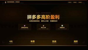 2026拼多多高阶盈利系列课程：全类目活动玩法、原价上大促、洗图防比价等核心盈利技术-欢迎访问本站