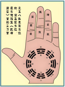 零基础学看手相从入门到精通【结合真人案例】《传统手相结合西方占星理论》-欢迎访问本站