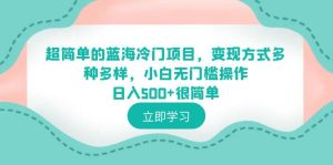0基础操作蓝海冷门项目日入500+，多种变现方式助你轻松成功！-欢迎访问本站