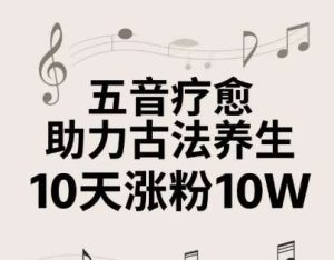 古法五音养生疗愈的视频制作教程【10天涨粉10W】2-4小时就能学会26-欢迎访问本站