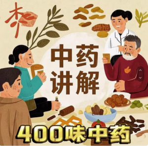 400味中药药材讲解课程-讲透400味中药，中医爱好者必学适合从入门到精通-欢迎访问本站