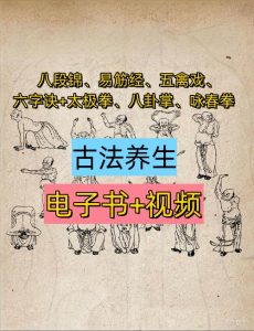 健身养生资源合集[电子书+视频]【八段锦、易筋经、五禽戏、六字诀+太极拳、八卦掌、咏春拳、形意拳等传统武术】电商热销956-欢迎访问本站