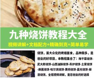 9种烧饼技术教程-烧饼技术配方教程大全梅干菜武大郎吊炉掉渣饼制作小吃摆摊创业【电商热销665】-欢迎访问本站