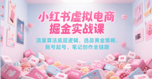 小红书虚拟电商全套实战课，卖虚拟资料必学-流量+选品黄+ 起号+笔记创作26-欢迎访问本站