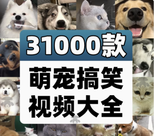 萌宠素材动物猫咪宠物搞笑抖音短视频直播高清无水印剪辑起号用素材【电商热销561】-欢迎访问本站