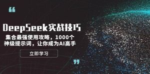 DeepSeek实战课程：集合最强使用攻略，1000个神级提示词，26让你成为AI高手-欢迎访问本站