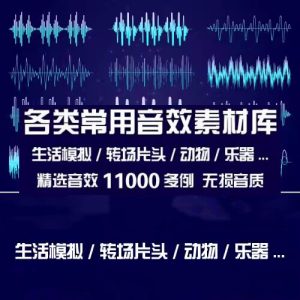 精选11000例各类常用音效素材库-生活场景转场片头动物叫声乐器枪声音效素材【电商热销1433】-欢迎访问本站